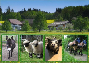 Pferde - und Eselhof Grünegg